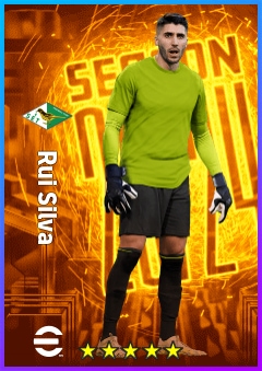 Rui Silva