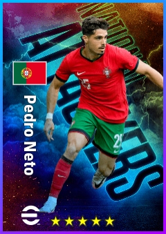 Pedro Neto
