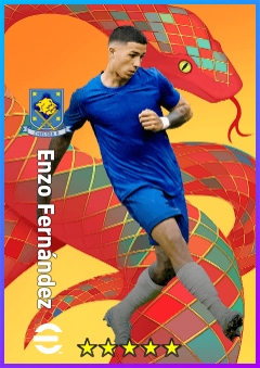 Enzo Fernández