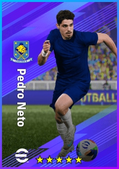 Pedro Neto