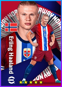 Erling Haaland