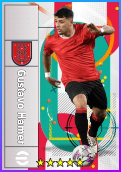 Gustavo Hamer