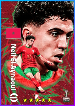Neil El Aynaoui