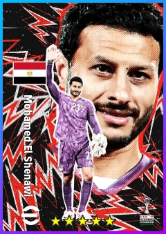 Mohamed El Shenawi