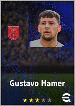 Gustavo Hamer