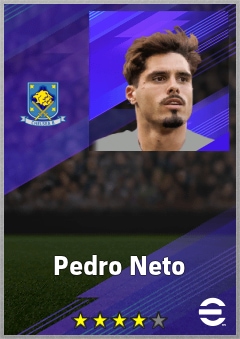 Pedro Neto