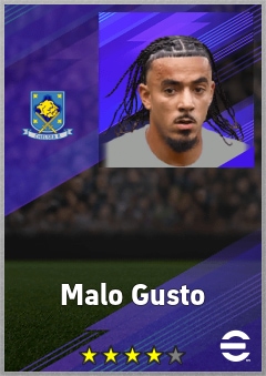 Malo Gusto