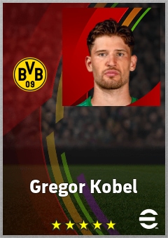 Gregor Kobel