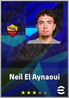 Neil El Aynaoui