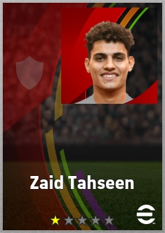 Zaid Tahseen