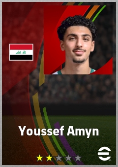 Youssef Amyn