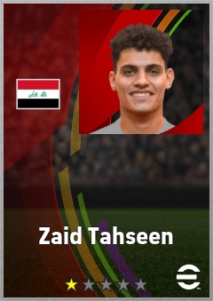 Zaid Tahseen