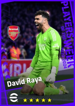 David Raya