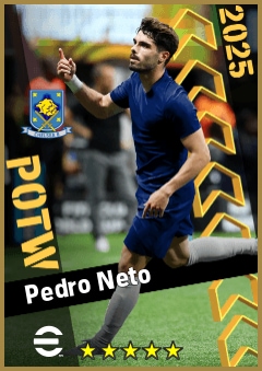 Pedro Neto