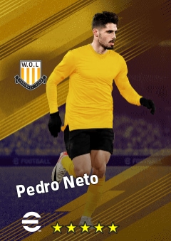 Pedro Neto