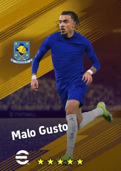 Malo Gusto