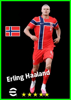 Erling Haaland