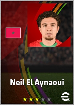 Neil El Aynaoui